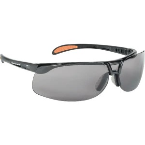 Okulary ochronne Protege HS AF przyciemniane