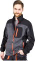 FORECO-S DSBP.png
