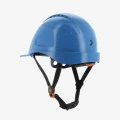 AJUSCOWS-BLU-WEB02.WEBP