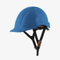 AJUSCOWS-BLU-WEB01.WEBP