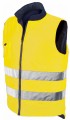 04069 yellow_b.jpg