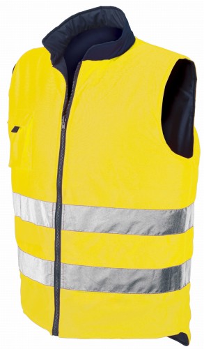 04069 yellow_b.jpg